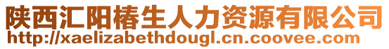 陜西匯陽椿生人力資源有限公司