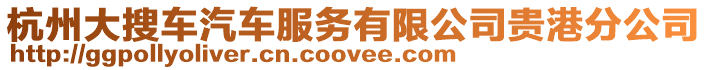 杭州大搜車汽車服務有限公司貴港分公司