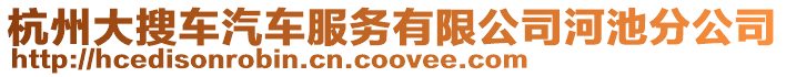 杭州大搜車汽車服務有限公司河池分公司