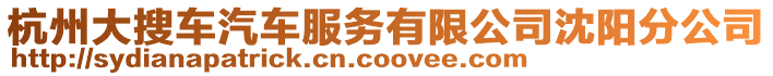 杭州大搜車汽車服務有限公司沈陽分公司