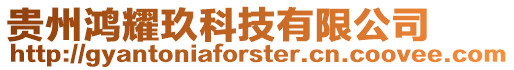 貴州鴻耀玖科技有限公司