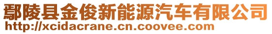 鄢陵县金俊新能源汽车有限公司