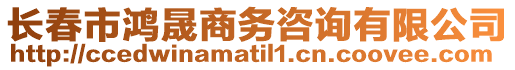 長春市鴻晟商務咨詢有限公司