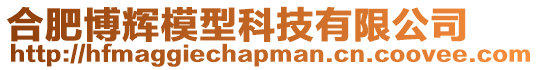 合肥博輝模型科技有限公司
