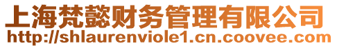 上海梵懿財務(wù)管理有限公司