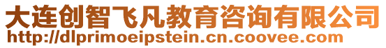 大連創(chuàng)智飛凡教育咨詢有限公司