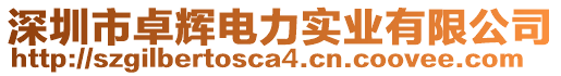 深圳市卓輝電力實業(yè)有限公司