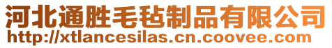 河北通勝毛氈制品有限公司