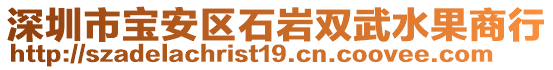 深圳市寶安區(qū)石巖雙武水果商行