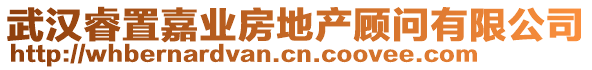 武漢睿置嘉業(yè)房地產(chǎn)顧問(wèn)有限公司