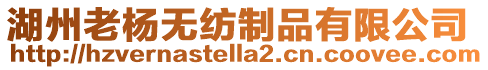 湖州老楊無紡制品有限公司