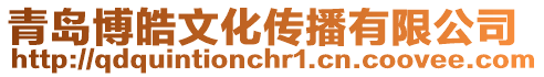 青島博皓文化傳播有限公司