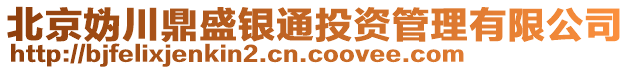 北京媯川鼎盛銀通投資管理有限公司