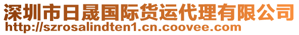 深圳市日晟国际货运代理有限公司