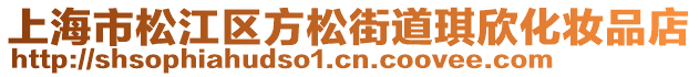 上海市松江區(qū)方松街道琪欣化妝品店