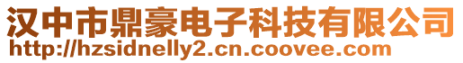 漢中市鼎豪電子科技有限公司