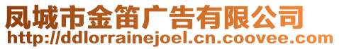 鳳城市金笛廣告有限公司