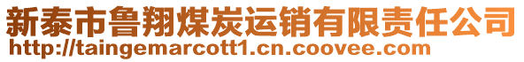 新泰市魯翔煤炭運銷有限責任公司
