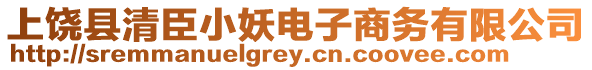 上饒縣清臣小妖電子商務有限公司