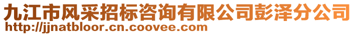 九江市風(fēng)采招標(biāo)咨詢有限公司彭澤分公司