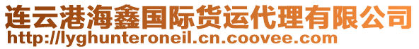 連云港海鑫國(guó)際貨運(yùn)代理有限公司