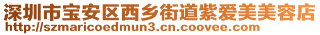深圳市寶安區西鄉街道紫愛美美容店