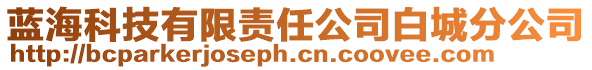 藍(lán)?？萍加邢挢?zé)任公司白城分公司