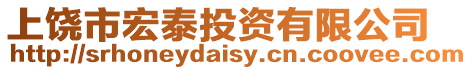上饒市宏泰投資有限公司