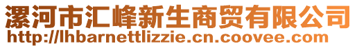 漯河市汇峰新生商贸有限公司