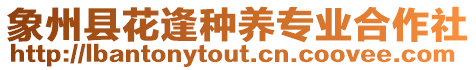 象州縣花逢種養(yǎng)專業(yè)合作社