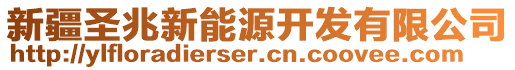 新疆圣兆新能源開(kāi)發(fā)有限公司