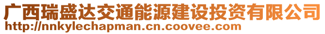 廣西瑞盛達交通能源建設投資有限公司