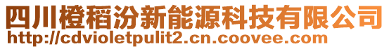 四川橙稻汾新能源科技有限公司