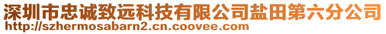 深圳市忠誠致遠(yuǎn)科技有限公司鹽田第六分公司
