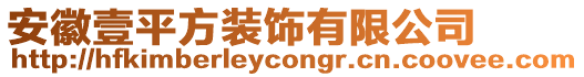 安徽壹平方裝飾有限公司