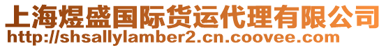 上海煜盛國際貨運(yùn)代理有限公司