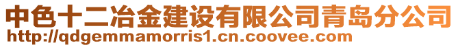 中色十二冶金建設有限公司青島分公司