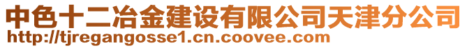 中色十二冶金建設(shè)有限公司天津分公司