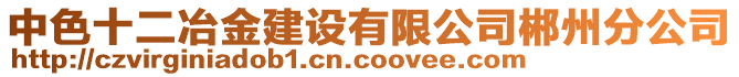 中色十二冶金建設(shè)有限公司郴州分公司