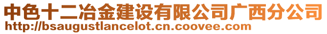 中色十二冶金建設有限公司廣西分公司