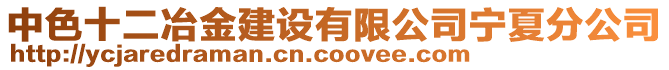 中色十二冶金建設(shè)有限公司寧夏分公司