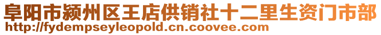 阜陽市潁州區(qū)王店供銷社十二里生資門市部