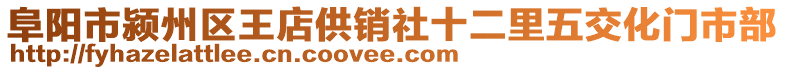 阜陽市潁州區(qū)王店供銷社十二里五交化門市部