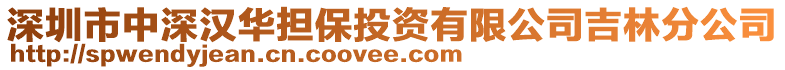 深圳市中深漢華擔保投資有限公司吉林分公司