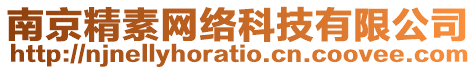 南京精素網(wǎng)絡(luò)科技有限公司