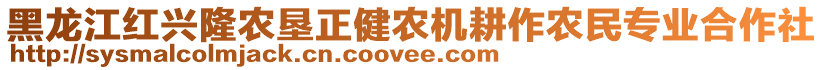 黑龍江紅興隆農(nóng)墾正健農(nóng)機(jī)耕作農(nóng)民專業(yè)合作社