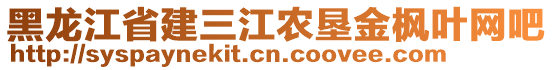 黑龍江省建三江農(nóng)墾金楓葉網(wǎng)吧