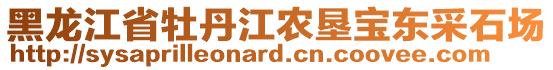 黑龍江省牡丹江農(nóng)墾寶東采石場(chǎng)