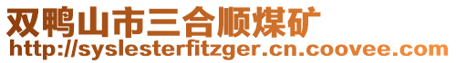 双鸭山市三合顺煤矿