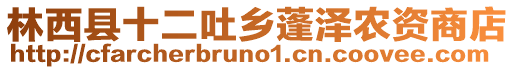 林西縣十二吐鄉(xiāng)蓬澤農資商店